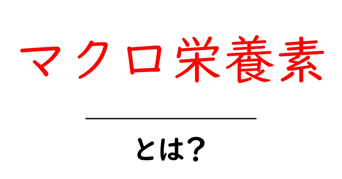 マクロ栄養素とは？健康的な食生活の基本を解説します！共起語・同意語も併せて解説！