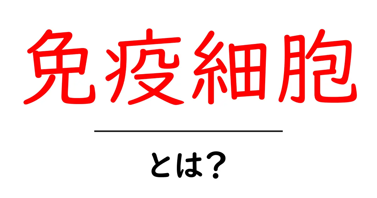 免疫細胞について知ろう!私たちの体を守る仲間たち共起語・同意語も併せて解説!