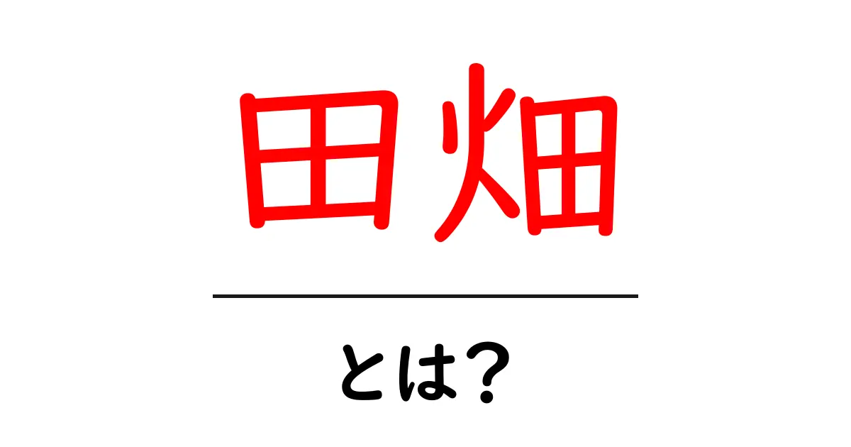 田畑とは?農業の基本や役割を知ろう共起語・同意語も併せて解説!