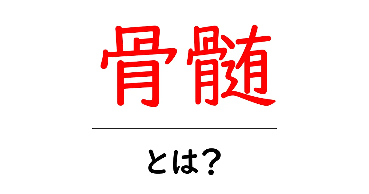 骨髄とは?その役割と健康への影響を解説します!共起語・同意語も併せて解説!