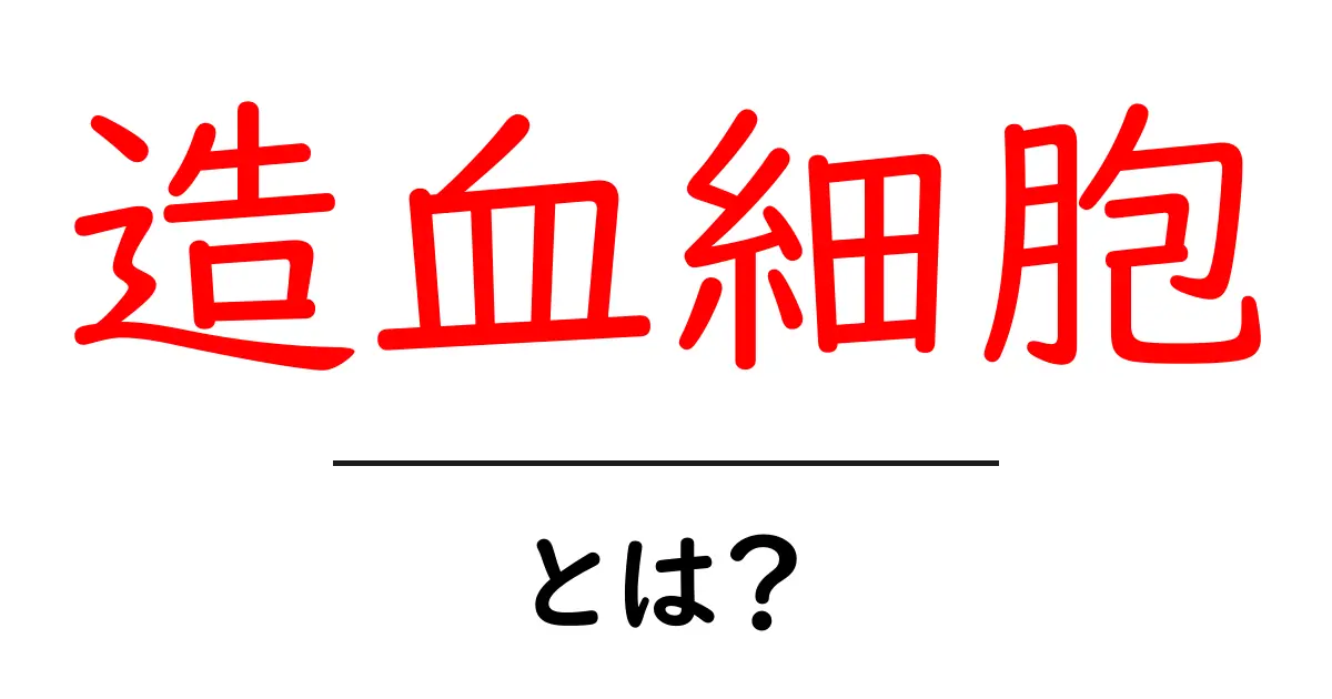 造血細胞とは?その役割と重要性を解説します共起語・同意語も併せて解説!