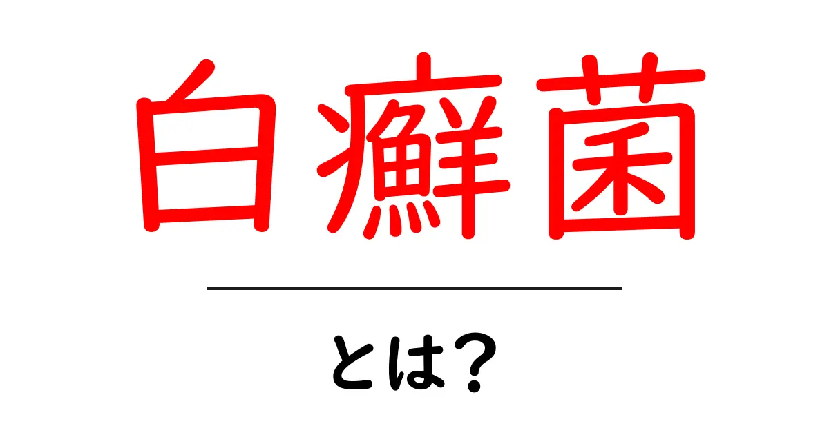 白癬菌とは?その症状と対策をわかりやすく解説!共起語・同意語も併せて解説!
