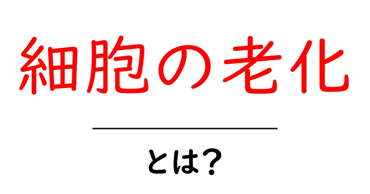 細胞の老化とは？その原因と身体への影響を解説！共起語・同意語も併せて解説！