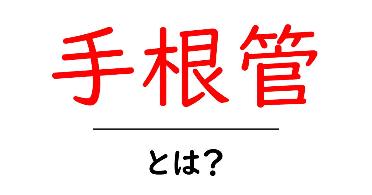 手根管とは?その役割と症状についてわかりやすく解説!共起語・同意語も併せて解説!