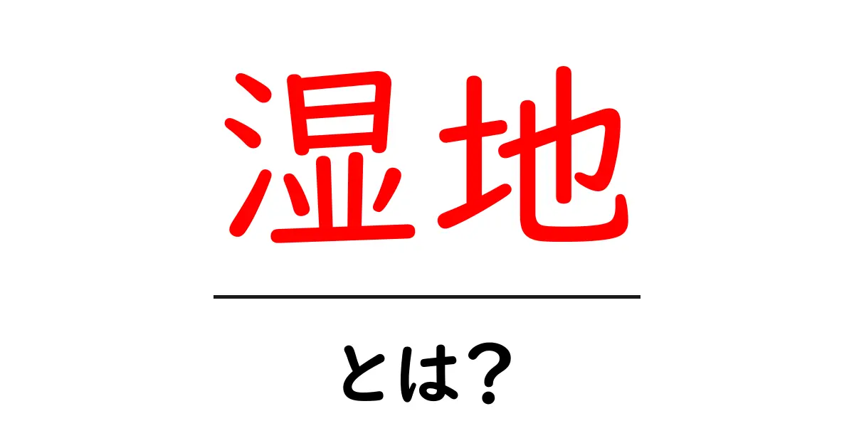 湿地とは?その魅力と重要性を解説!共起語・同意語も併せて解説!