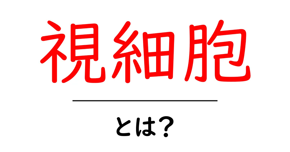 視細胞とは？ 私たちの目で光を感じる仕組みを解説！共起語・同意語も併せて解説！