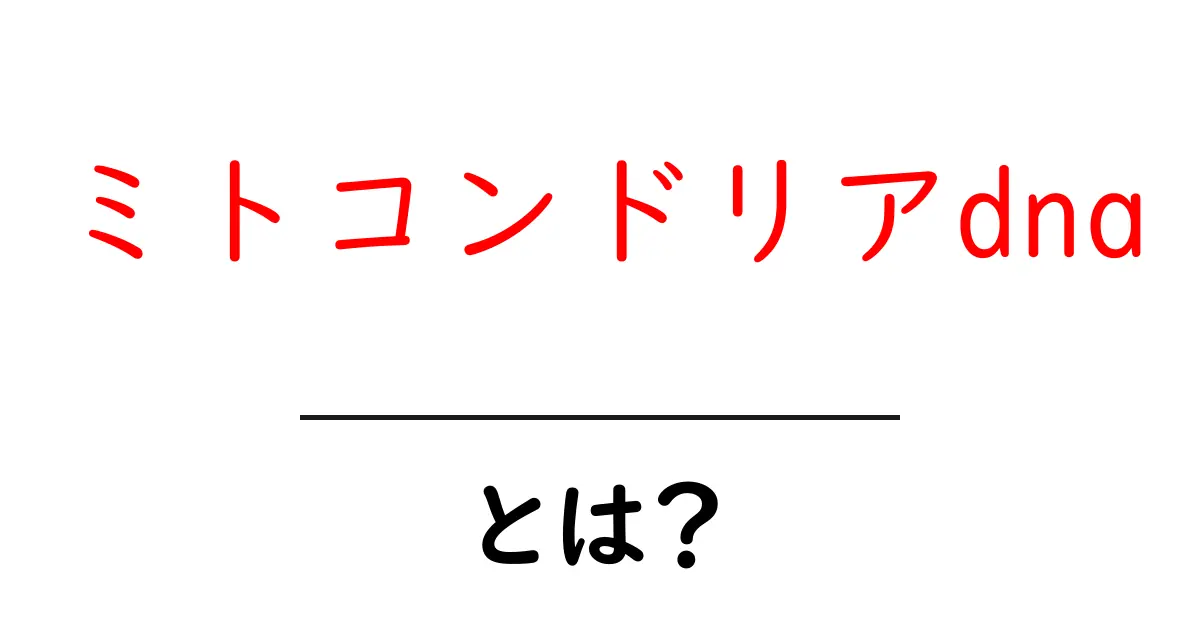 ミトコンドリアDNAとは?あなたの体を支える小さな力の正体共起語・同意語も併せて解説!