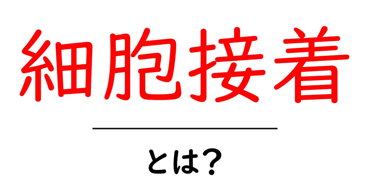 細胞接着とは?私たちの体を支える大事な働きの秘密共起語・同意語も併せて解説!