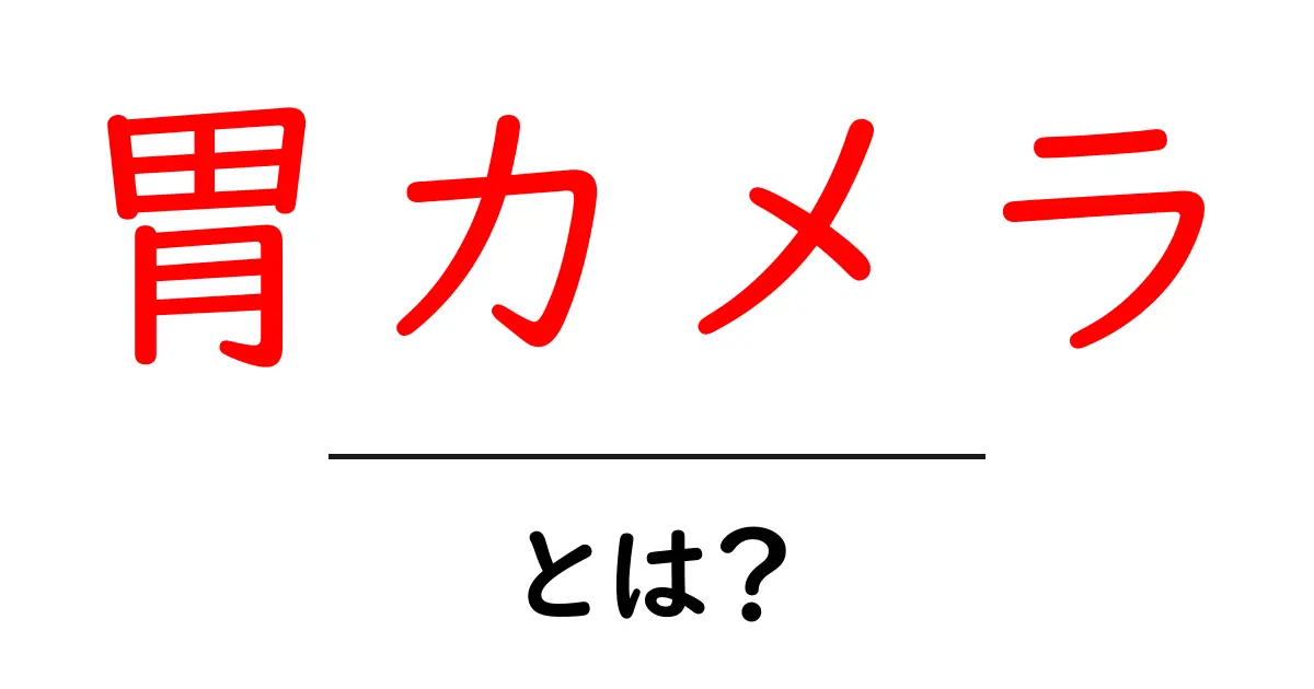 胃カメラとは?これだけは知っておきたいポイントを解説!共起語・同意語も併せて解説!