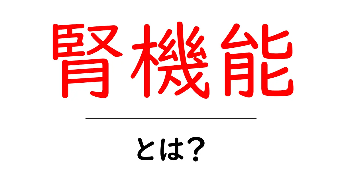 腎機能を理解しよう!健康な生活のために知っておくべきこと共起語・同意語も併せて解説!