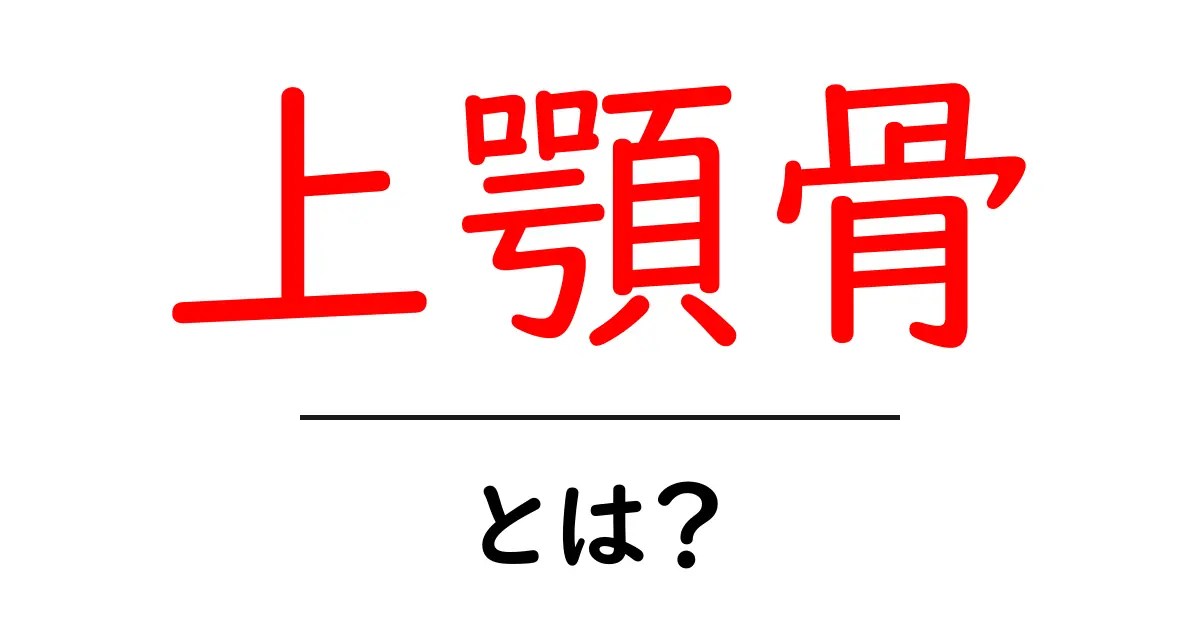 上顎骨とは?その役割や構造についてわかりやすく解説!共起語・同意語も併せて解説!