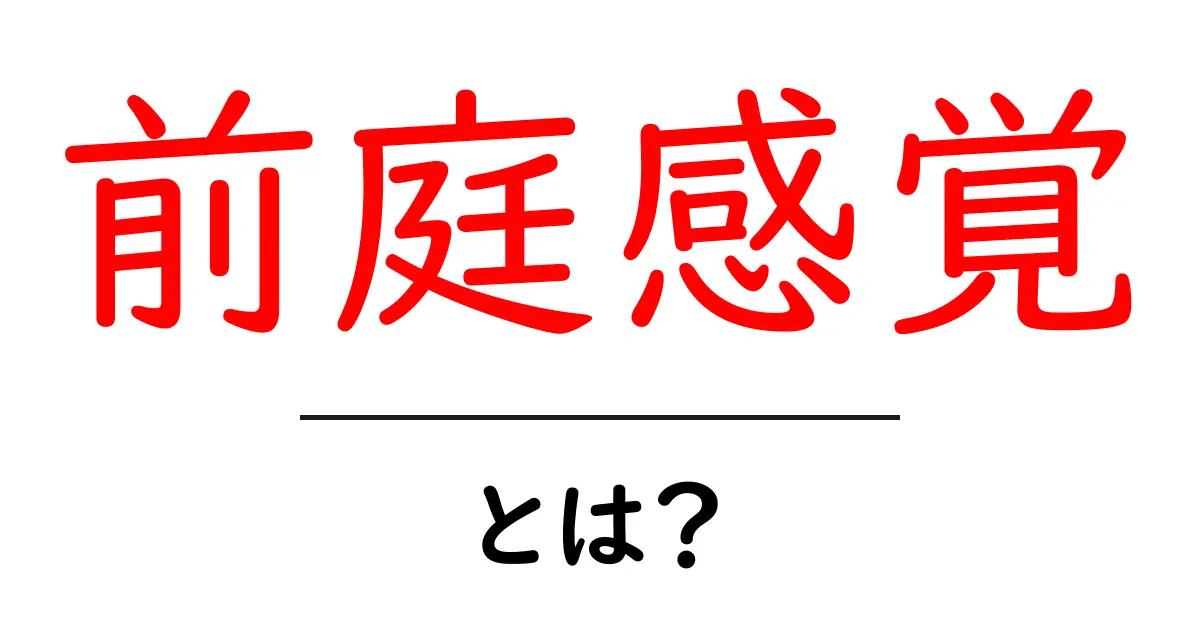 前庭感覚とは?私たちの体を支える不思議な感覚のすべて共起語・同意語も併せて解説!