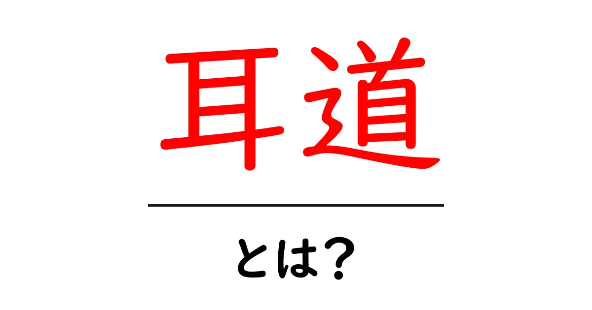 耳道とは？耳の内部を知ろう！共起語・同意語も併せて解説！