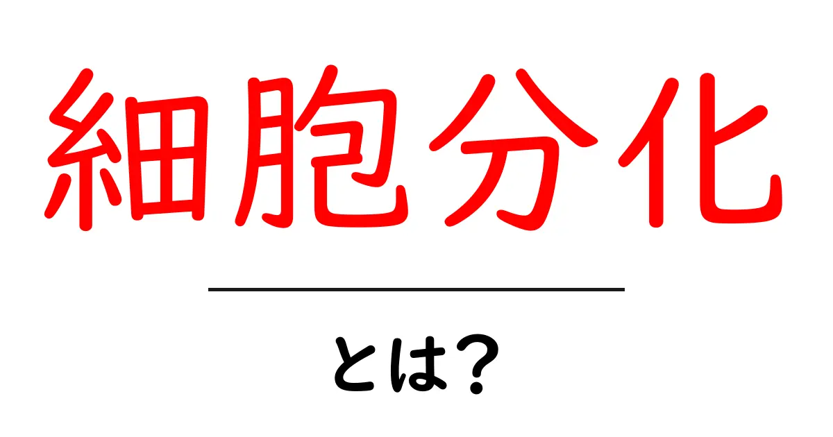 細胞分化とは?成り立ちから重要性までをわかりやすく解説共起語・同意語も併せて解説!