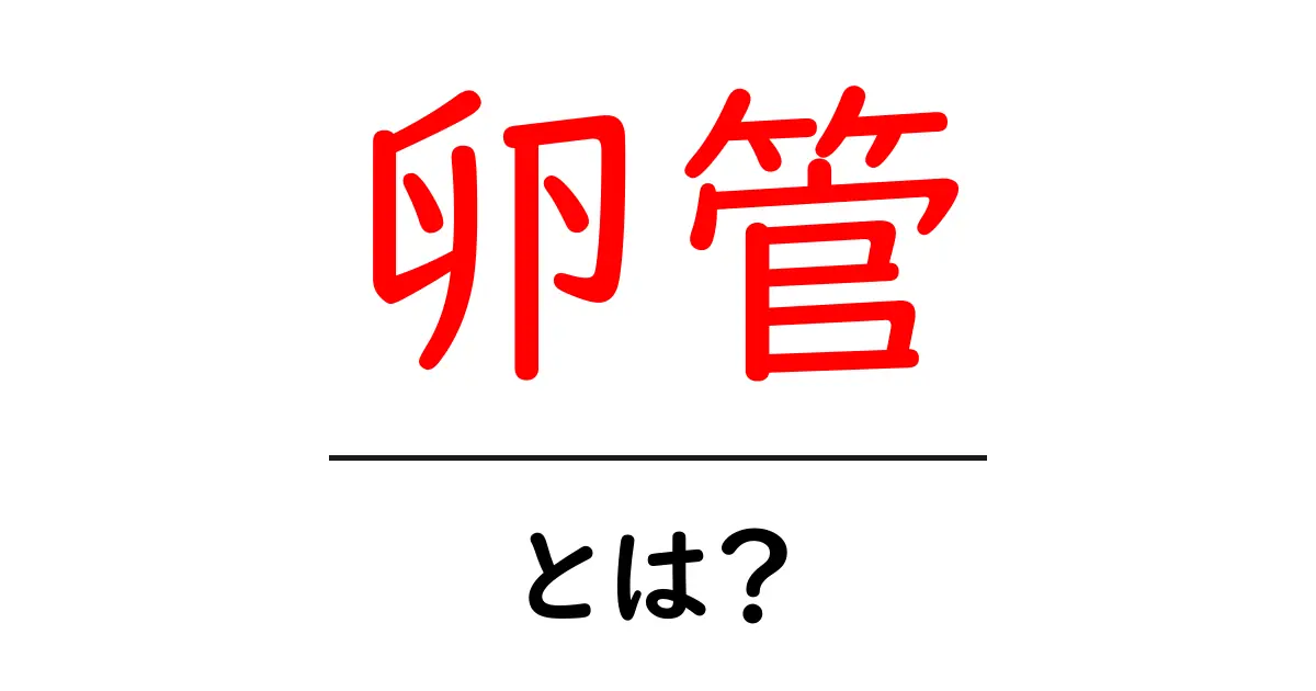 卵管とは?その役割や健康への影響をわかりやすく解説!共起語・同意語も併せて解説!