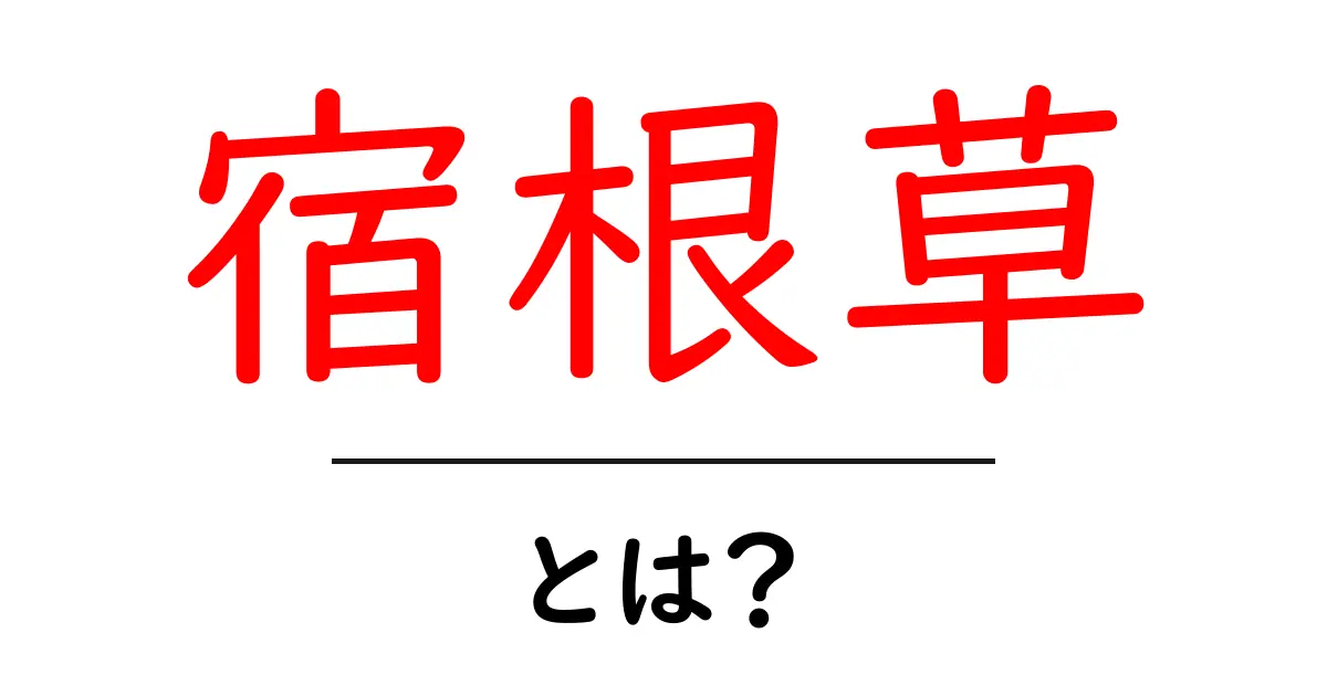宿根草とは?初心者でもわかる基本知識と育て方共起語・同意語も併せて解説!