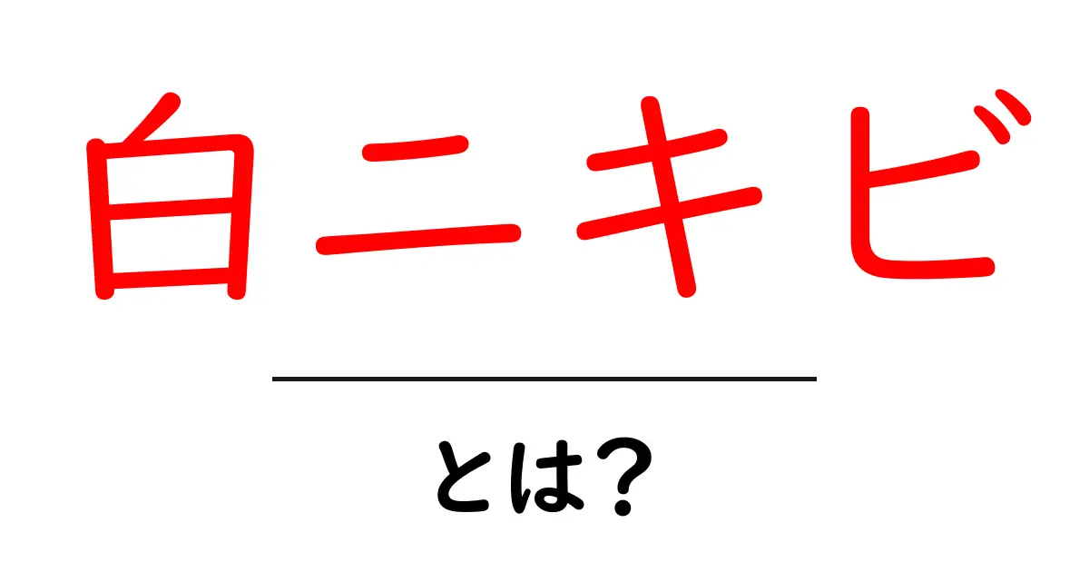 白ニキビについて知っておきたい!原因や対策を詳しく解説共起語・同意語も併せて解説!