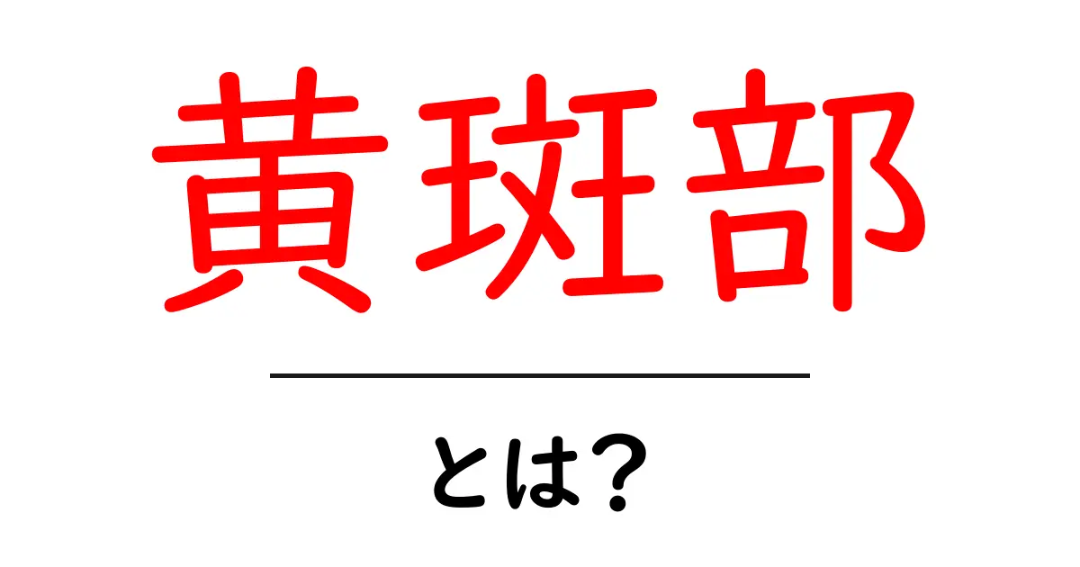 黄斑部とは?目の健康を守るための重要な部分について知ろう共起語・同意語も併せて解説!