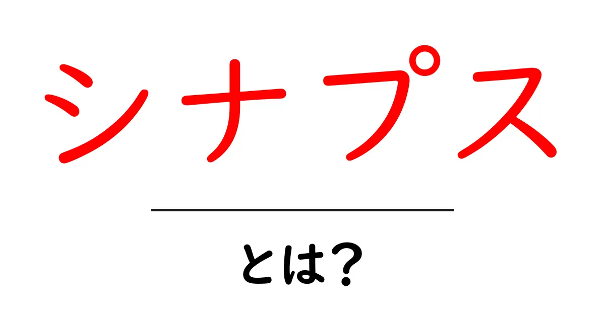 シナプスとは?脳の神秘を解明する鍵!共起語・同意語も併せて解説!