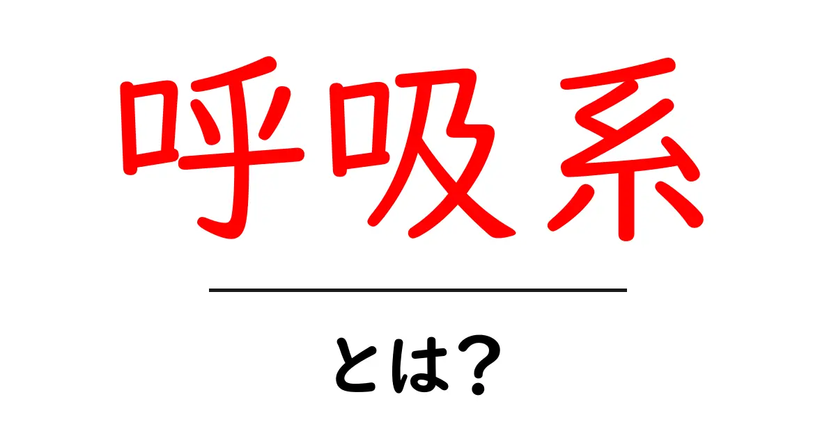 呼吸系とは?私たちの体に欠かせない大切なシステムを解説!共起語・同意語も併せて解説!