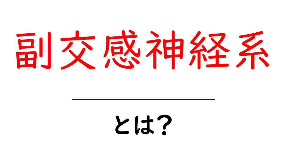 副交感神経系とは？心身をリラックスさせる神経の秘密共起語・同意語も併せて解説！