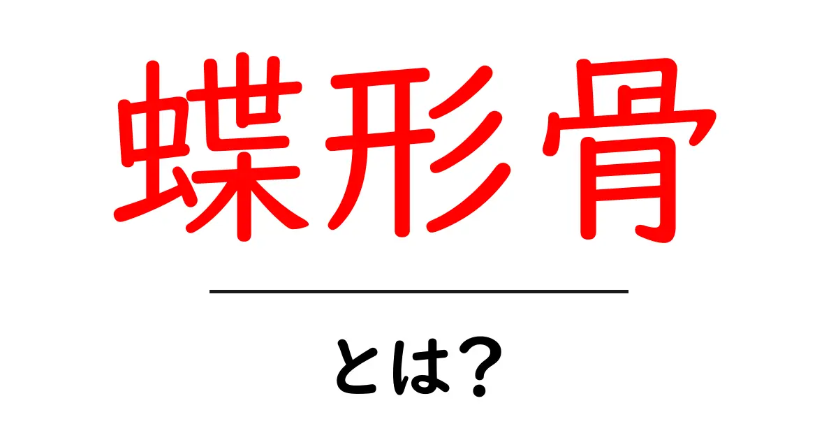 蝶形骨とは?不思議な形の骨の役割を探ろう!共起語・同意語も併せて解説!