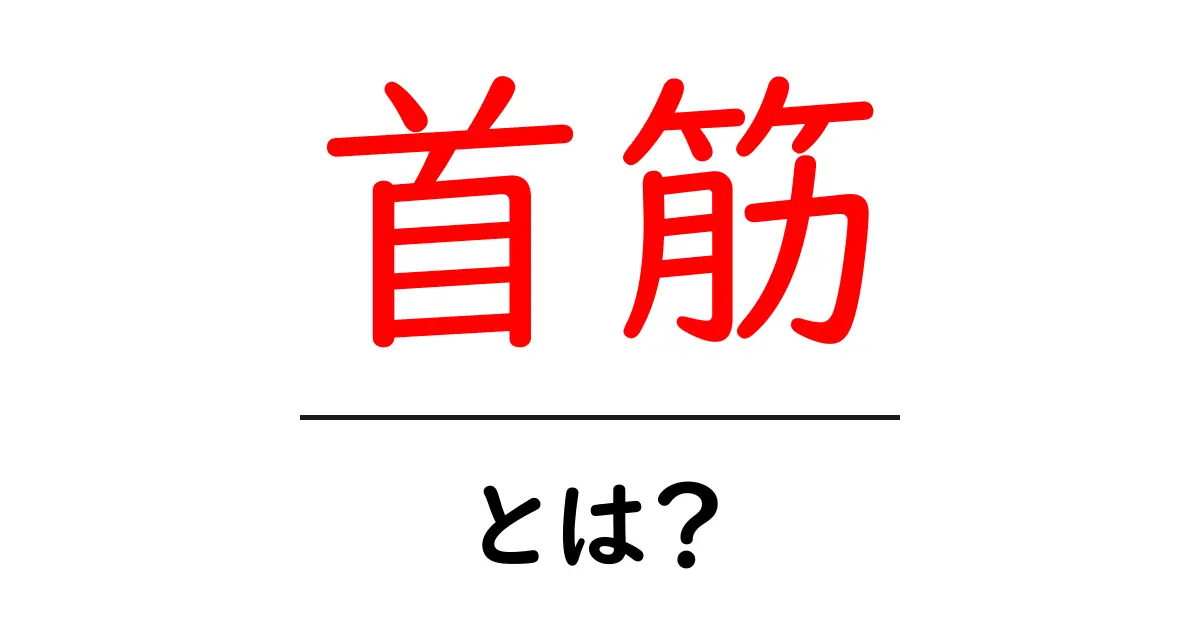 首筋とは?大切な体の一部を知ろう!共起語・同意語も併せて解説!