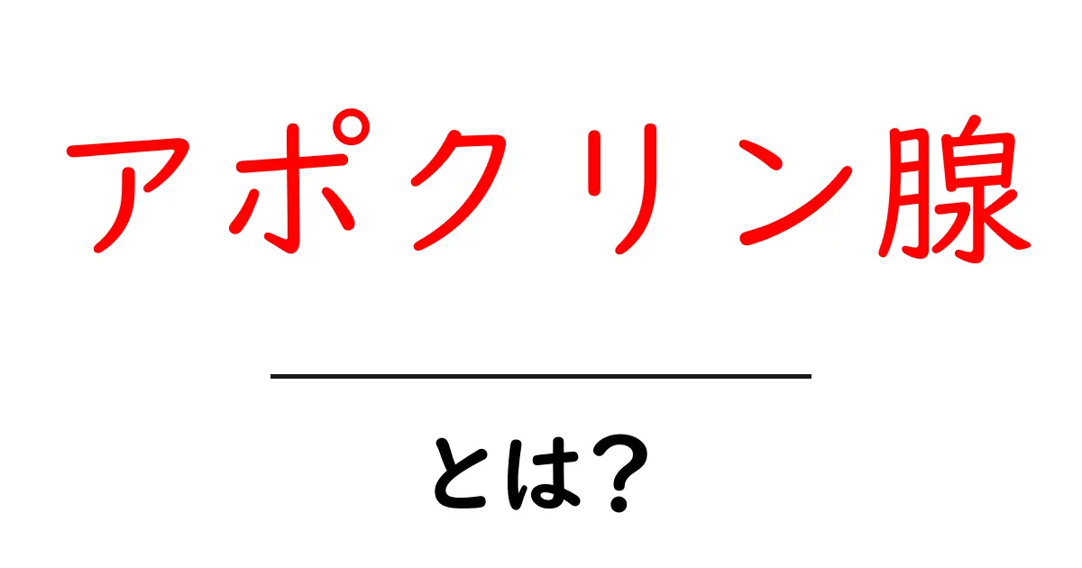 アポクリン腺とは?あなたの体に潜む神秘の腺を解説!共起語・同意語も併せて解説!