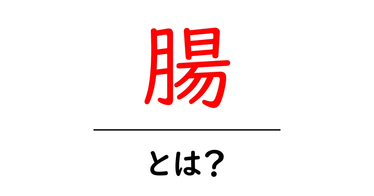 腸を知る!健康のカギを握る消化器官とは?共起語・同意語も併せて解説!