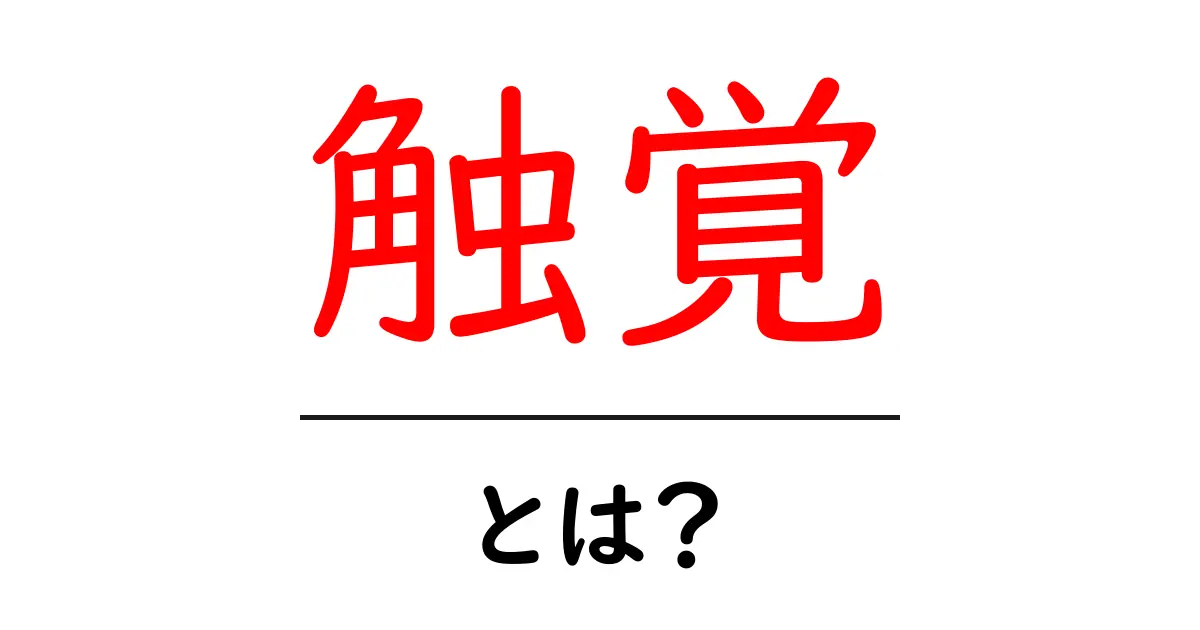 触覚とは?私たちの五感の一つを徹底解説!共起語・同意語も併せて解説!
