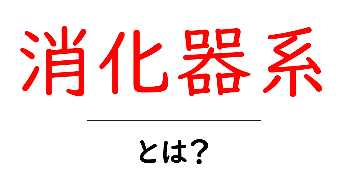 消化器系とは?私たちの体の食べ物を消化する大切な仕組みを知ろう!共起語・同意語も併せて解説!