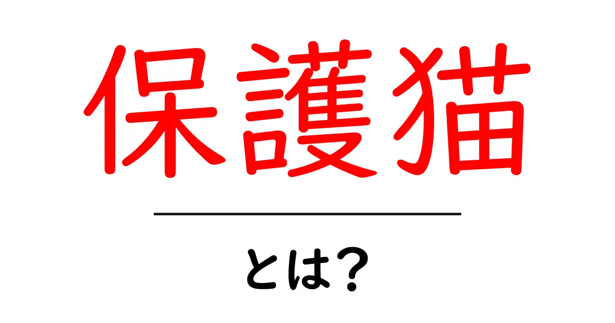 保護猫とは?その魅力と心得を詳しく解説!共起語・同意語も併せて解説!