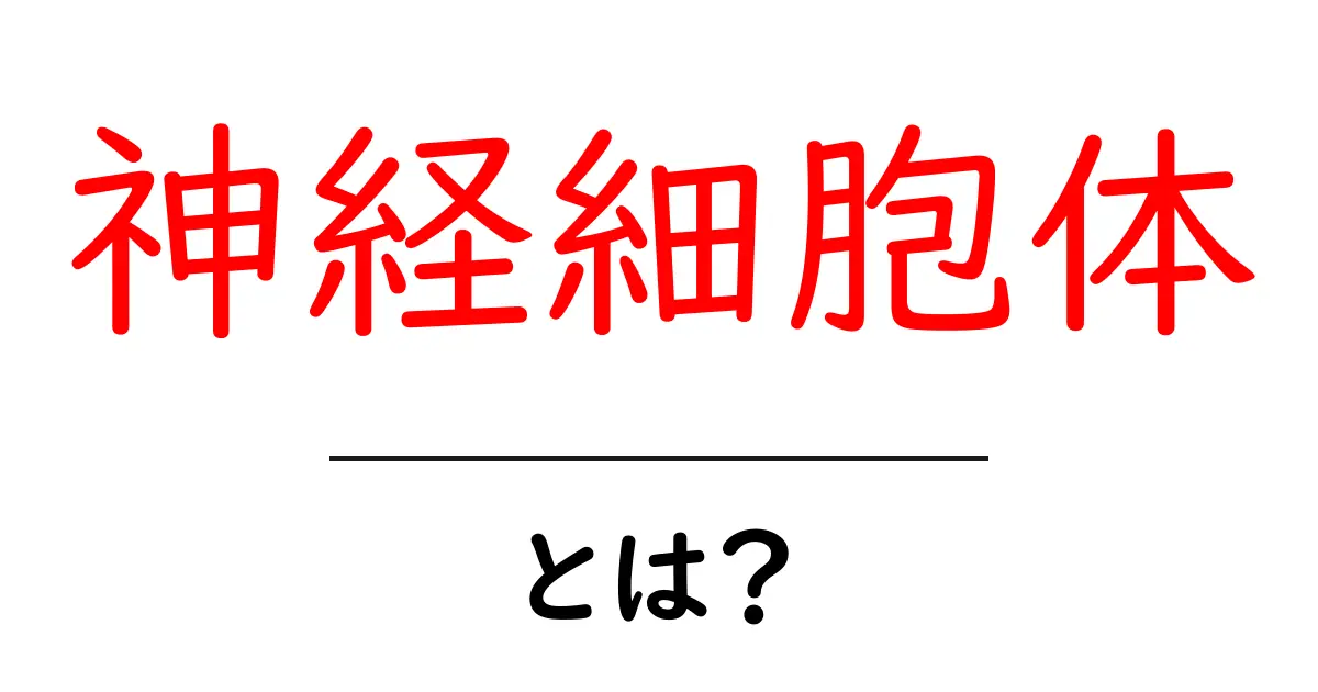 神経細胞体とは？私たちの脳を支える重要な細胞の仕組み共起語・同意語も併せて解説！