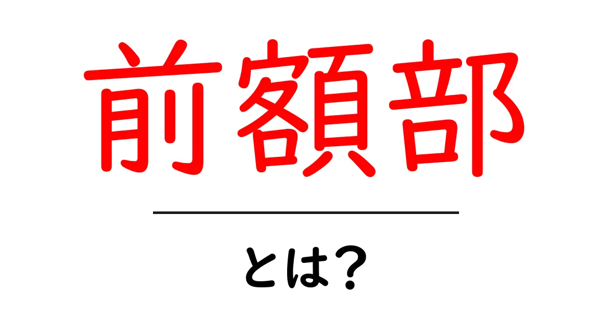 前額部って何?詳しく解説!共起語・同意語も併せて解説!