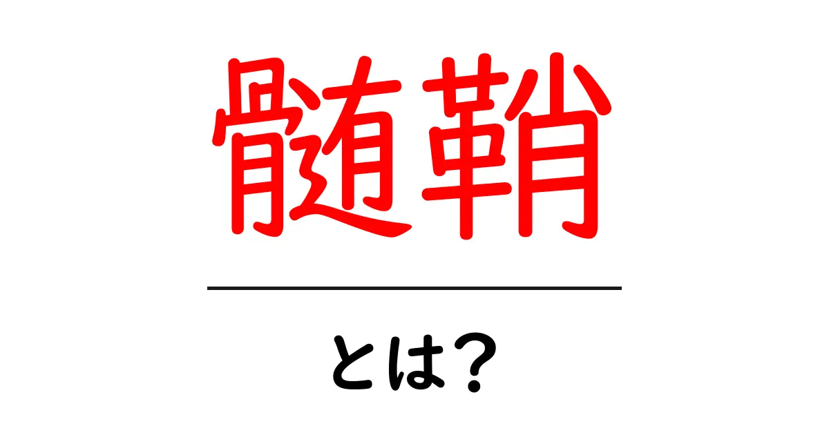 髄鞘とは?神経の働きを支える大切な役割について共起語・同意語も併せて解説!