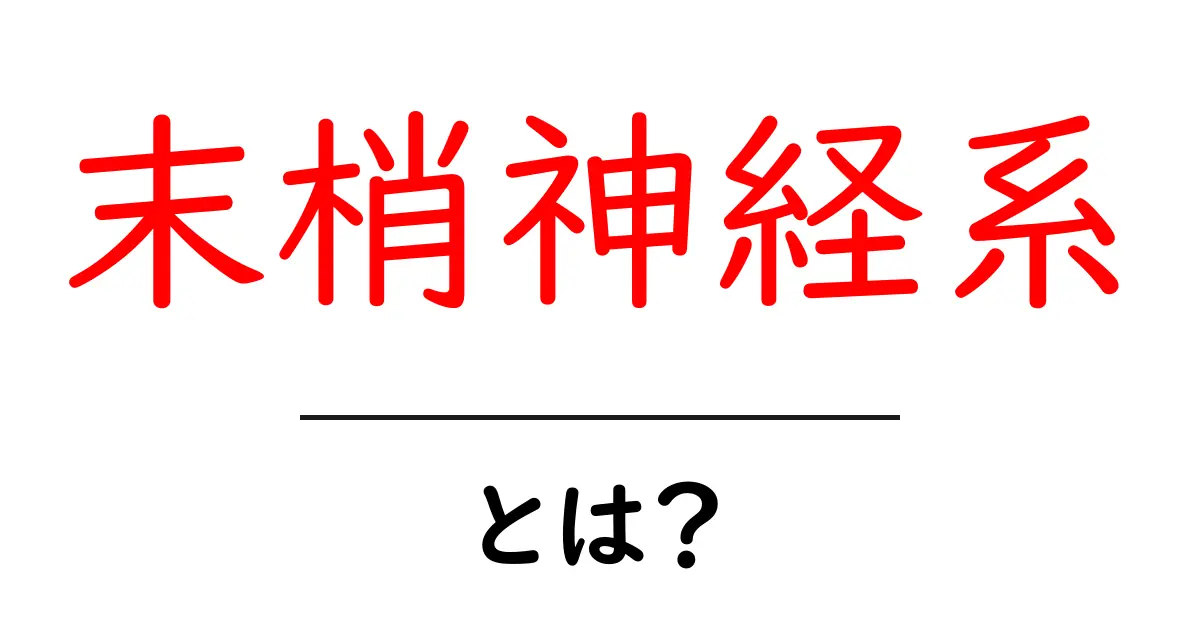 末梢神経系とは?私たちの体を支える重要な神経の仕組みを解説共起語・同意語も併せて解説!