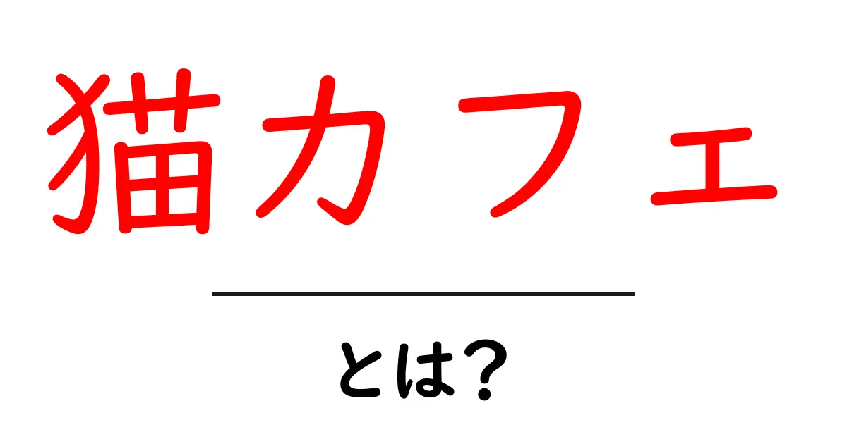 猫カフェとは?癒しの空間で楽しむ猫とのふれあい共起語・同意語も併せて解説!