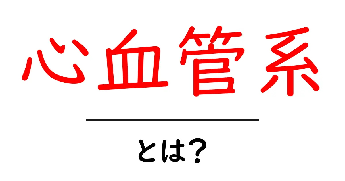 心血管系とは?健康を守る大切なシステムを知ろう共起語・同意語も併せて解説!