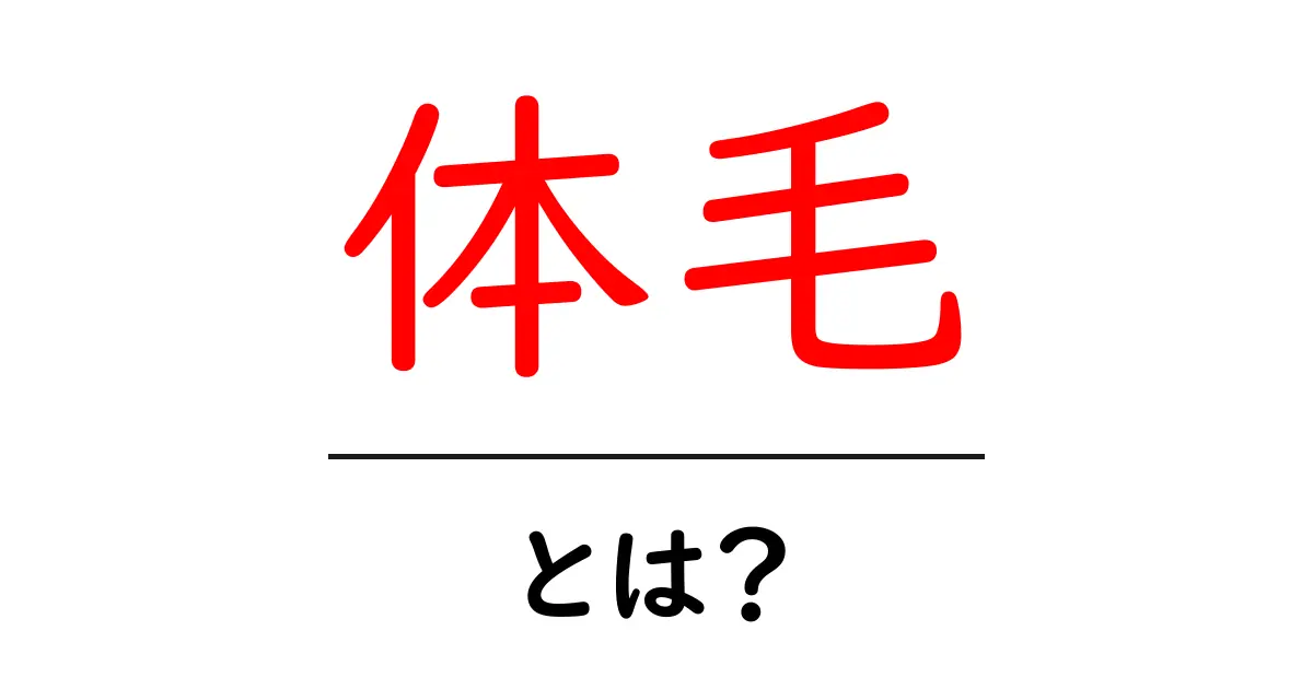 体毛とは？知っておくべき基礎知識共起語・同意語も併せて解説！