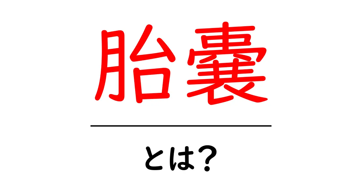 胎嚢とは?妊娠初期の大切なサインを知ろう!共起語・同意語も併せて解説!