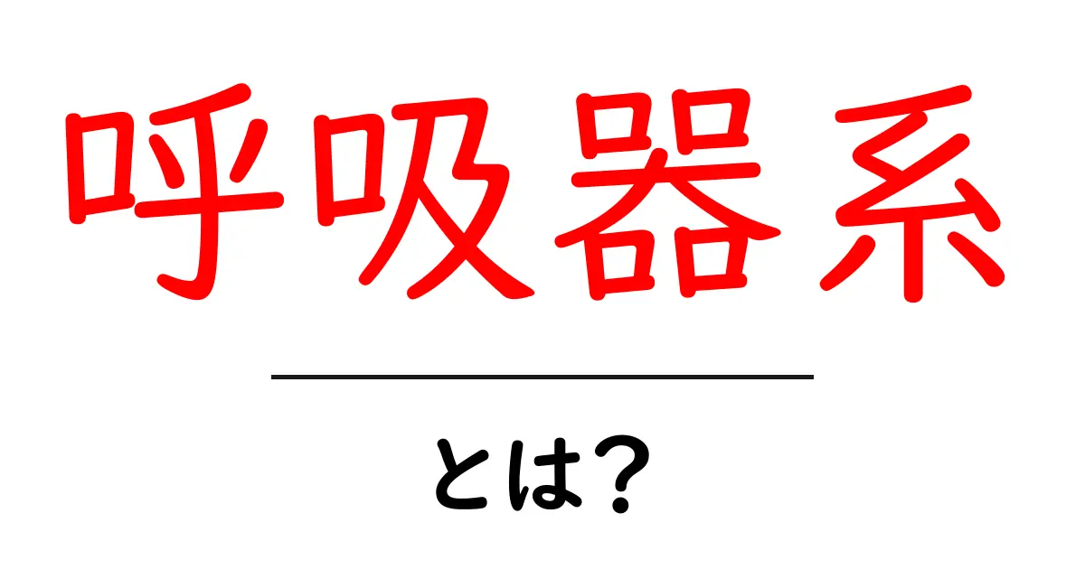 呼吸器系とは?健康を守る重要な役割を知ろう!共起語・同意語も併せて解説!
