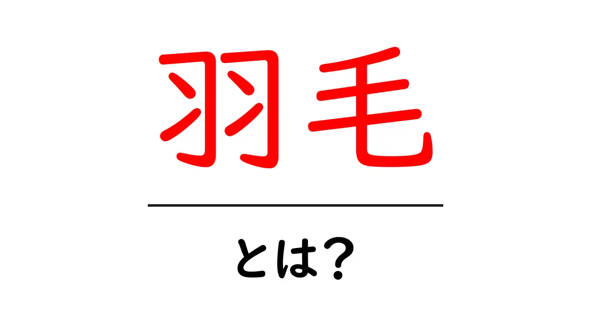 羽毛とは？その特徴と魅力を徹底解説！共起語・同意語も併せて解説！