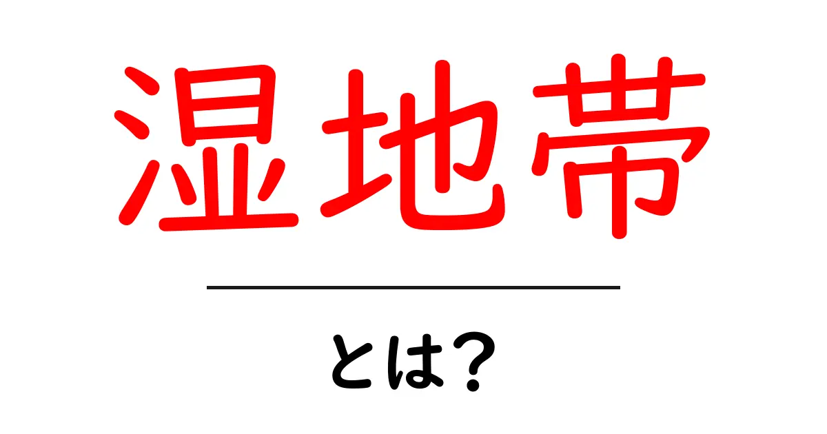 湿地帯とは?自然の神秘と生態系の宝庫を知ろう!共起語・同意語も併せて解説!