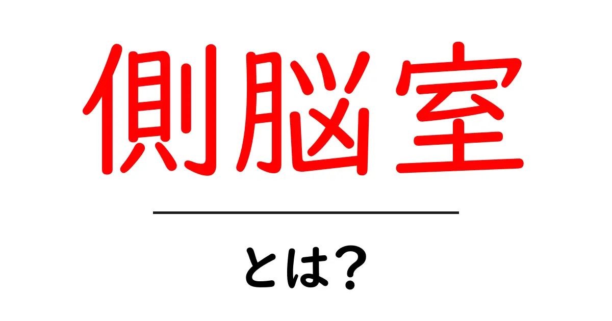 側脳室とは何か?その役割と重要性を分かりやすく解説!共起語・同意語も併せて解説!