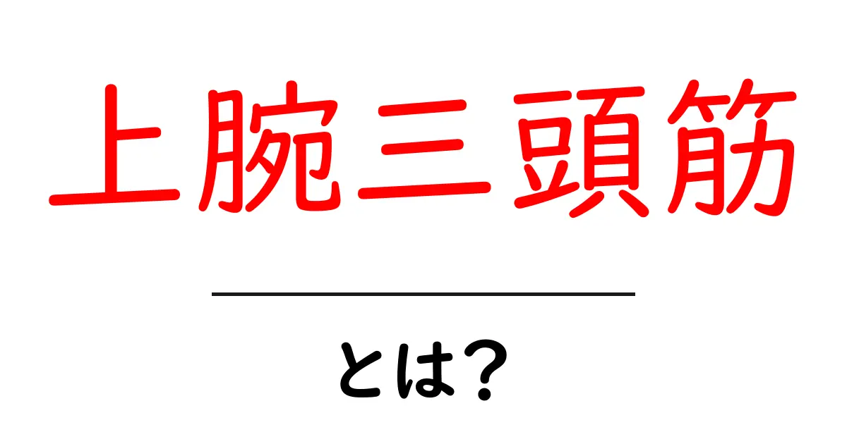 上腕三頭筋とは?その働きと鍛え方を徹底解説!共起語・同意語も併せて解説!