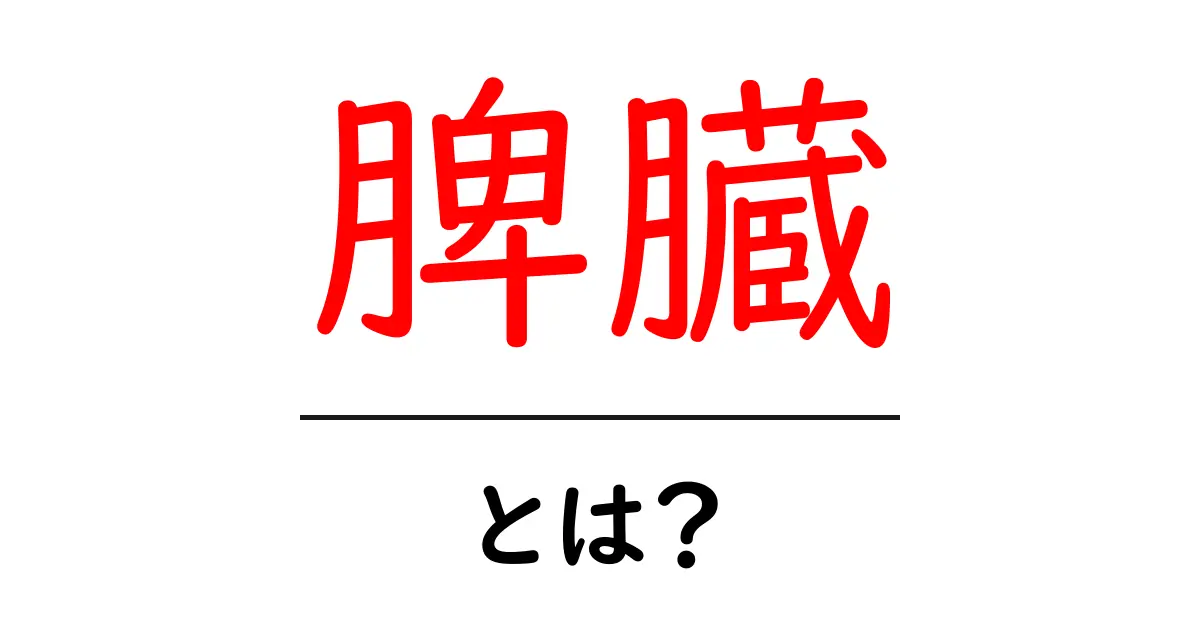 脾臓とは?役割や健康への影響について知ろう共起語・同意語も併せて解説!