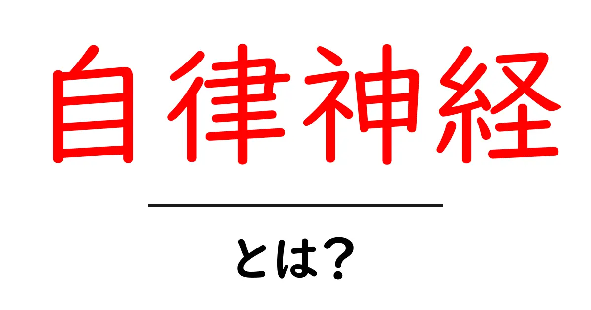自律神経とは？私たちの体を支える不思議な仕組みを解説！共起語・同意語も併せて解説！