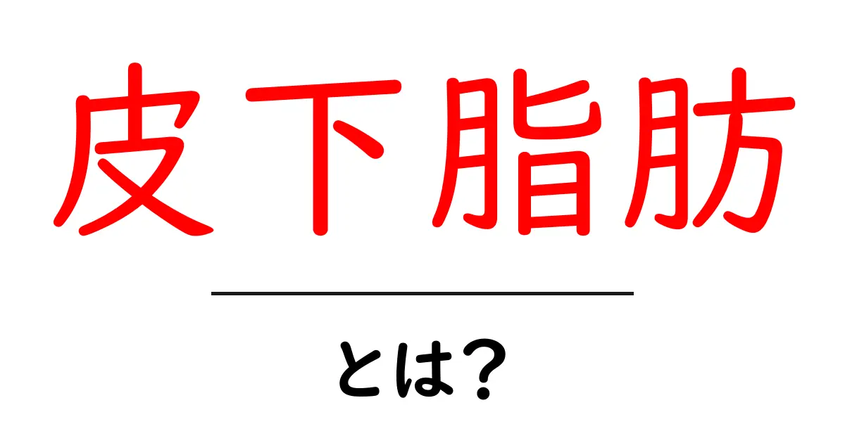 皮下脂肪とは?健康と美容に影響を与えるこの脂肪を知ろう!共起語・同意語も併せて解説!