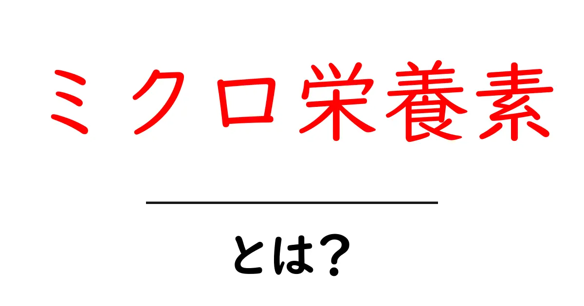 ミクロ栄養素とは？健康に欠かせない栄養素の重要性を徹底解説！共起語・同意語も併せて解説！
