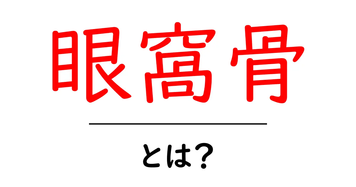 眼窩骨とは?目の周りの重要な骨の役割を解説!共起語・同意語も併せて解説!